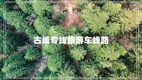 古城專(zhuān)線(xiàn)旅游車(chē)線(xiàn)路