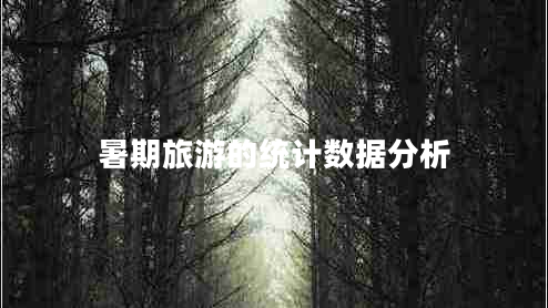 暑期旅游的統(tǒng)計數(shù)據(jù)分析