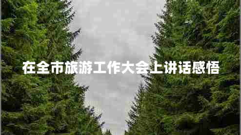 在全市旅游工作大會(huì)上講話感悟