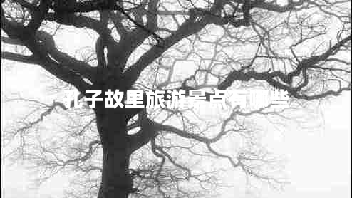 孔子故里旅游景點有哪些