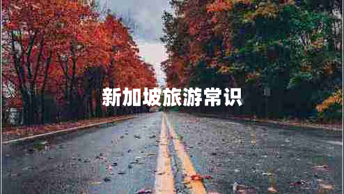 新加坡旅游常識(shí)