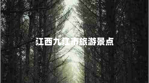 江西九江市旅游景點(diǎn)