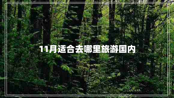 11月適合去哪里旅游國(guó)內(nèi)
