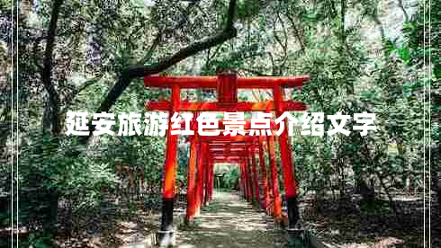 延安旅游紅色景點介紹文字