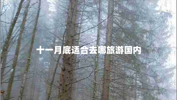 十一月底適合去哪旅游國(guó)內(nèi)