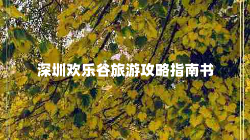 深圳歡樂谷旅游攻略指南書