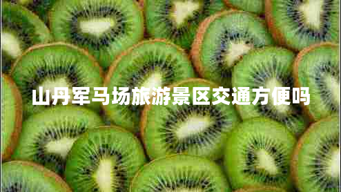 山丹軍馬場(chǎng)旅游景區交通方便嗎