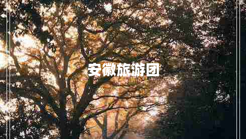 安徽旅游團(tuán)