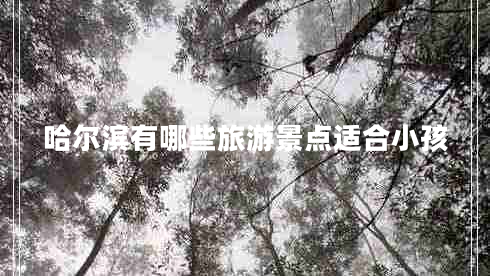 哈爾濱有哪些旅游景點(diǎn)適合小孩