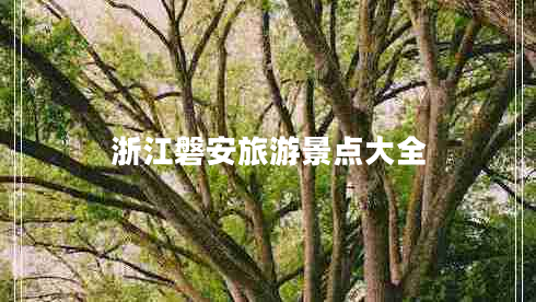 浙江磐安旅游景點大全