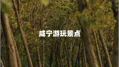 咸寧游玩景點
