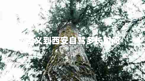 遵義到西安自駕多長(zhǎng)時(shí)間