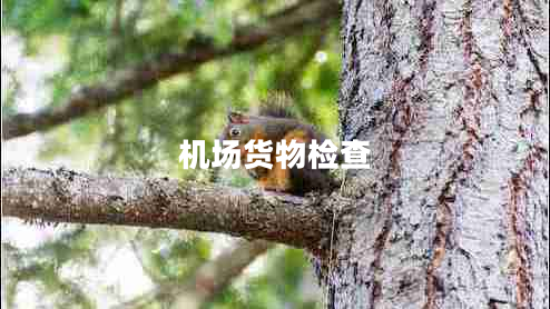 機場貨物檢查