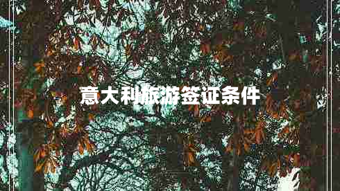 意大利旅游簽證條件