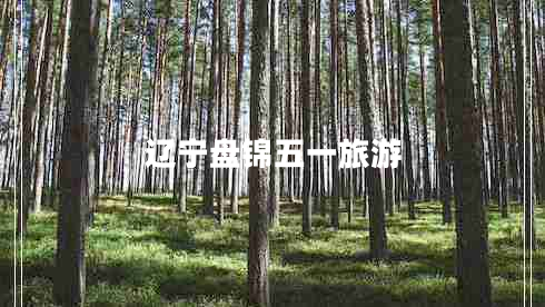 遼寧盤(pán)錦五一旅游