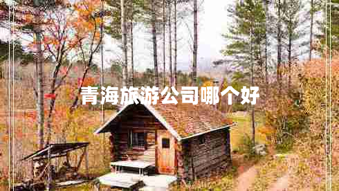 青海旅游公司哪個好