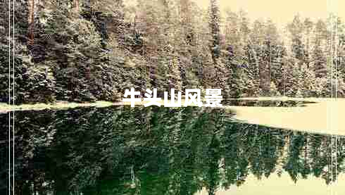 牛頭山風景