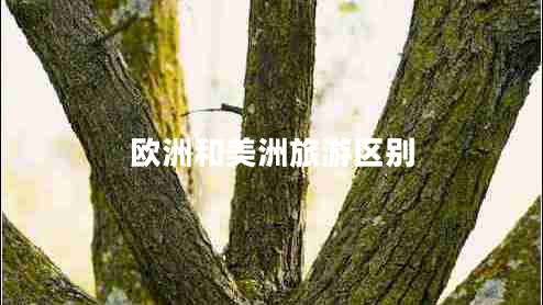 歐洲和美洲旅游區(qū)別