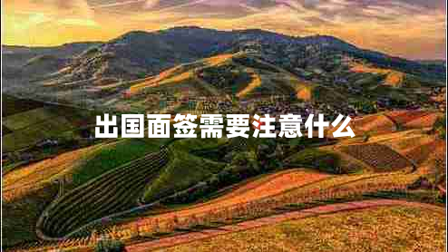 出國(guó)面簽需要注意什么