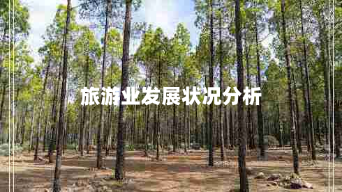 旅游業(yè)發(fā)展?fàn)顩r分析