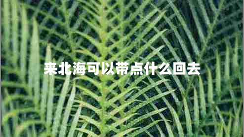 來北海可以帶點什么回去