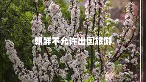 朝鮮不允許出國(guó)旅游