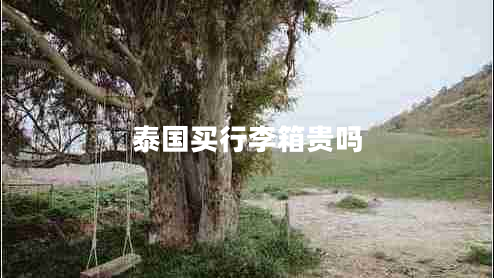 泰國買行李箱貴嗎
