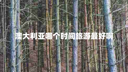 澳大利亞哪個時間旅游最好啊