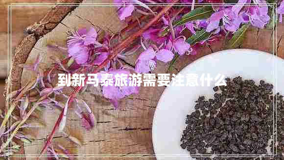 到新馬泰旅游需要注意什么