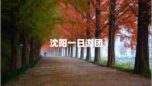 沈陽一日游團