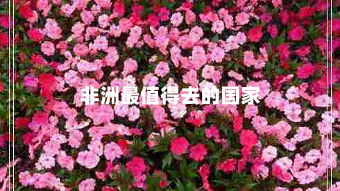 非洲最值得去的國家