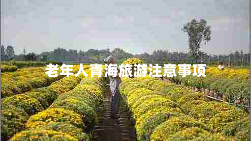 老年人青海旅游注意事項