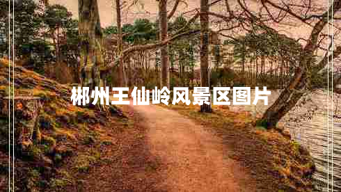 郴州王仙嶺風景區(qū)圖片