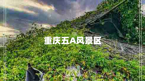 重慶五A風(fēng)景區