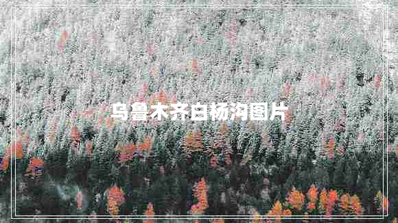 烏魯木齊白楊溝圖片