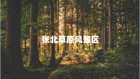 張北草原風(fēng)景區