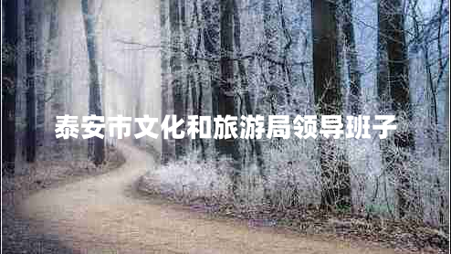 泰安市文化和旅游局領(lǐng)導(dǎo)班子