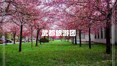 武都旅游團
