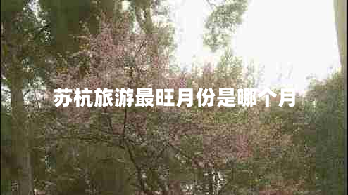 蘇杭旅游最旺月份是哪個月
