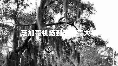 芝加哥機場到芝加哥大學