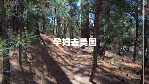 孕婦去美國