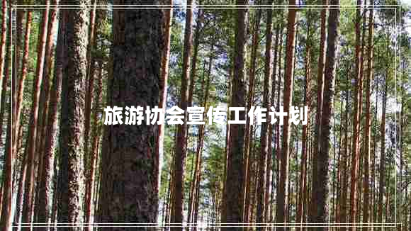 旅游協(xié)會宣傳工作計(jì)劃