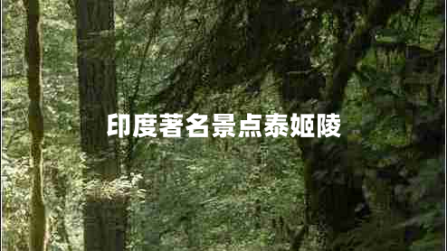 印度著名景點泰姬陵