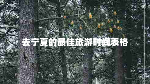 去寧夏的最佳旅游時間表格