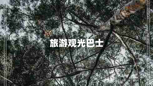 旅游觀光巴士