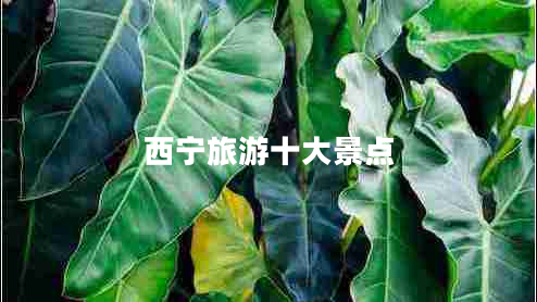 西寧旅游十大景點(diǎn)