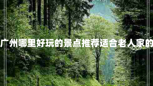 廣州哪里好玩的景點推薦適合老人家的