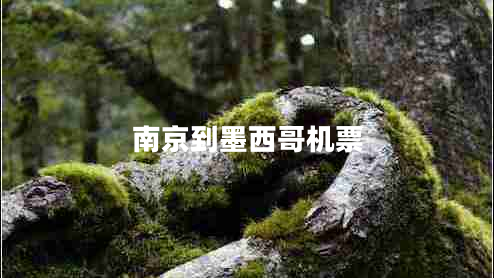 南京到墨西哥機(jī)票