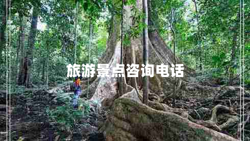 旅游景點咨詢電話