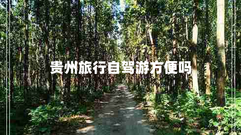 貴州旅行自駕游方便嗎